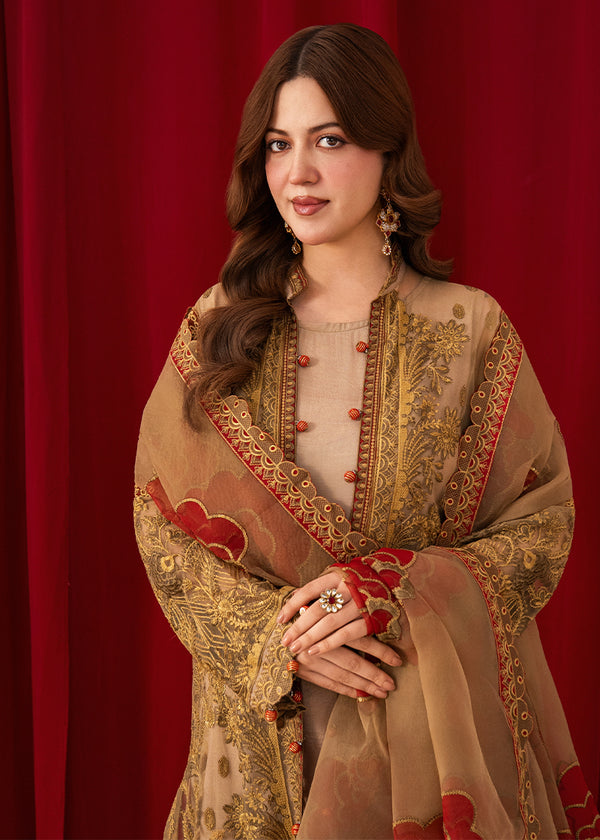 Embroidered Net & Raw Silk Luxury Ensemble